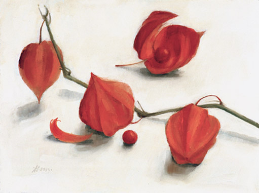 physalis